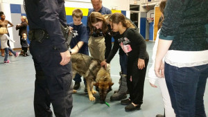 Courtesy of the Ithaca Police Department  Children pet Bert during his visit to the Ithaca Youth Bureau's chapter of Big Brother's Big Sisters in November 2014.