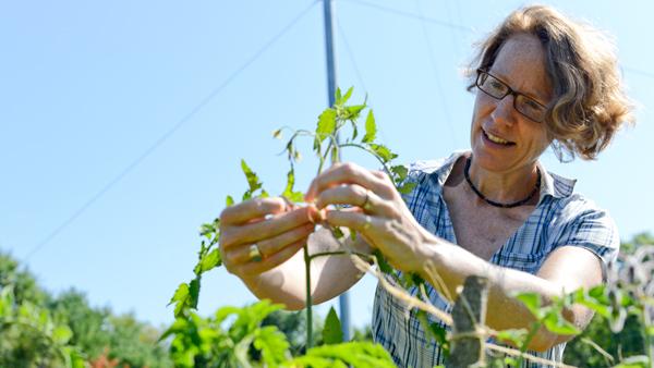 Politics professor Kelly Dietz examines the leaves of her plants in one of nine gardens on her homestead.