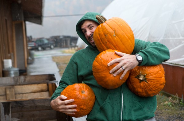 Rob Doran, a science teacher at Newfield Central School in Newfield, N.Y., takes pumpkins from the All you can carry pumpkins crates at the Eddydale Farm Stand for his class.