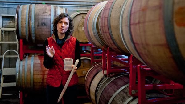 Shannon Brock gives a wine tasting tour at the Silver Thread Vineyard on Saturday.
