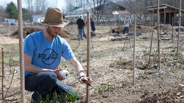 Mike Perry, community garden coordinator for the Veterans’ Sanctuary’s Call to Farms program, works on the farm in Trumansburg. The garden is open from 9 a.m. to 5 p.m. on Mondays. 