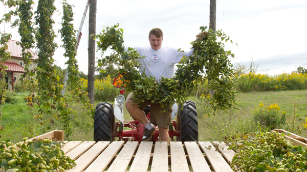 Hop to it: Senior makes name for himself as hops-growing businessman