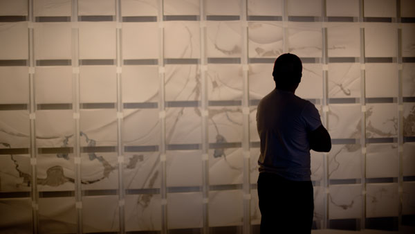 Professor’s Handwerker exhibit explores human influence on nature