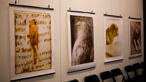 Photographs by Denis Defibaugh hang in the Cornell Lab of Ornithology for the exhibit “Afterlifes of Natural History.” Defibaugh achieved the images with alternative means of exposure and oxidation.