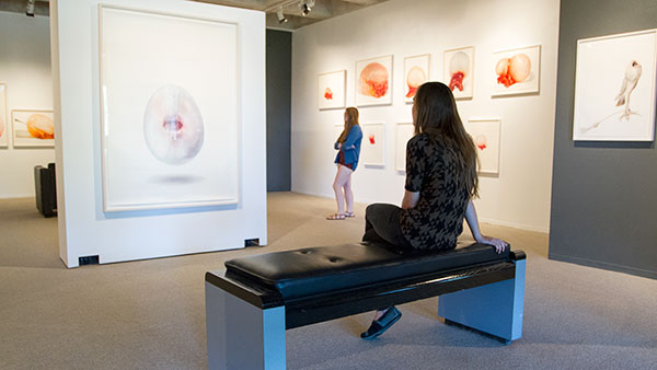 Junior Samantha Holek observes a piece from artist Julia Randalls Oral Fixation exhibit on Aug. 25 in the Handwerker Gallery. Randalls drawings play off of Sigmund Freuds studies on oral fixation in childhood. 