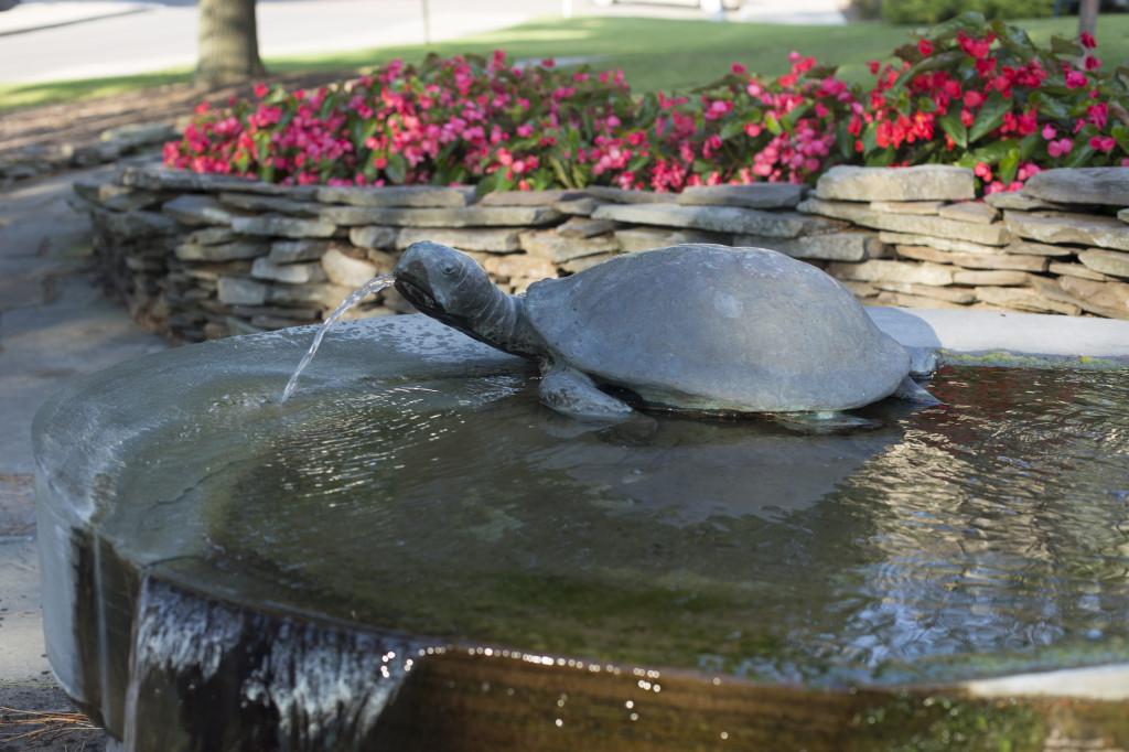 The+Turtle+Fountain