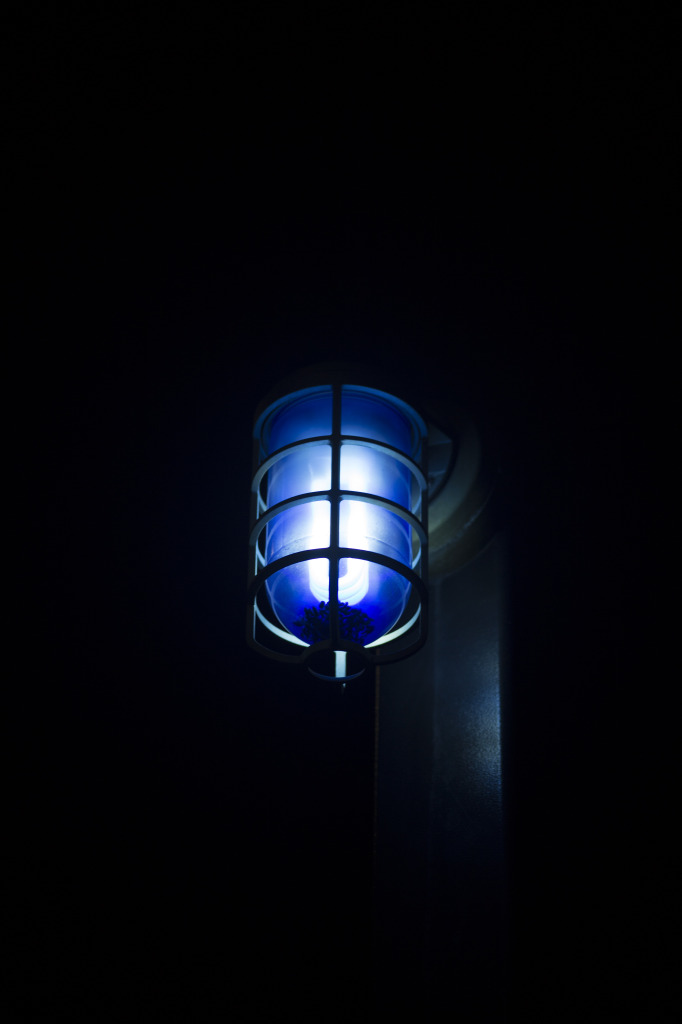 Blue Light_Brian Pulling