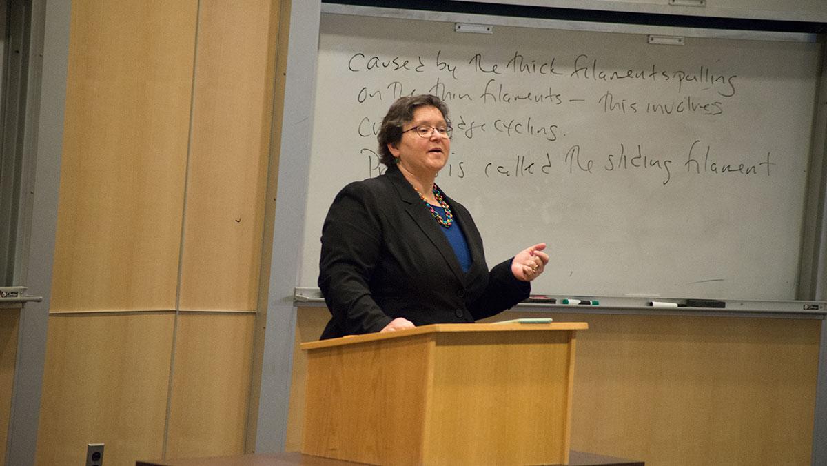 First provost finalist candidate visits Ithaca College