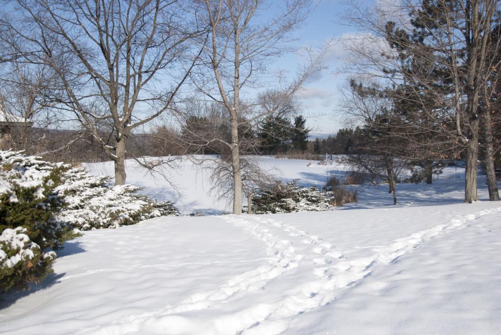 A view of the snow covered lake beside the Muller Chapel. 