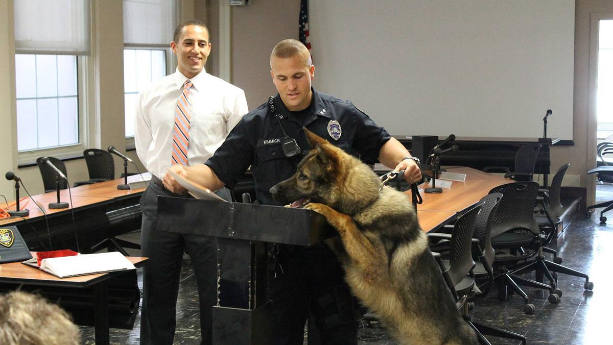 Courtesy of the Ithaca Police Department  Bert inspects the podium during his swearing in June 23, 2014, while Ithaca Mayor Syvante Myrick watches over the event.
