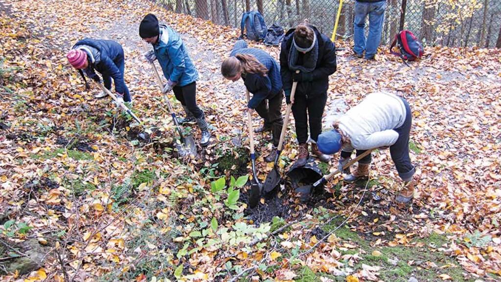From left, freshmen Tsz Shan Peony Lee and Ryley MacKay, Becky  Sibner ’14 and freshmen Robin Reiterman Curtis and Kathleen McAleese dig out trail culverts in Robert Treman State Park. 