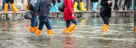 Venice Booties