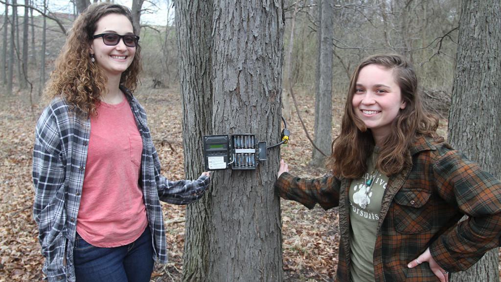 Ithaca College students monitor return of black bears