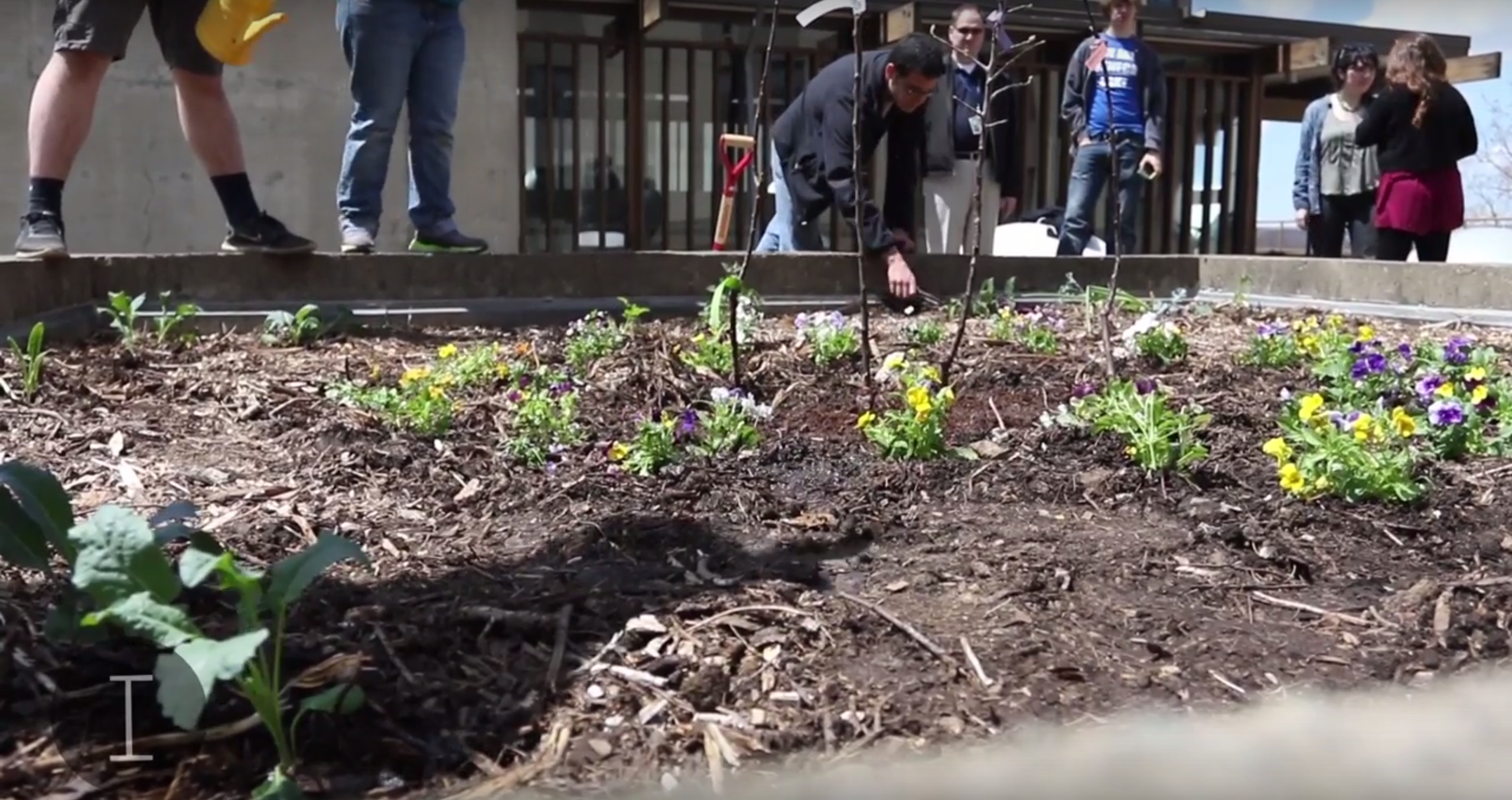 Plant-A-Palooza – Ithaca College’s rooftop garden