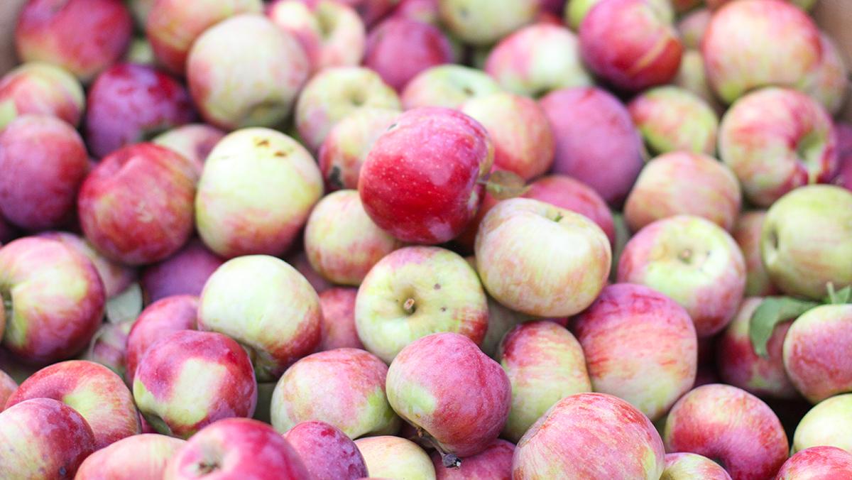 Getting to the core of the 35th annual Applefest