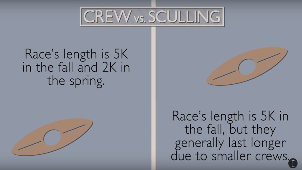 Crew and sculling: A breakdown