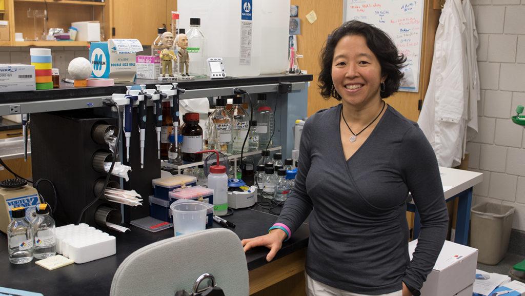 Maki Inada, associate professor in the Department of Biology, led her team of three, at the time, undergraduate students  to examine gene expression through experimenting with yeast. Inada said the data collected shows a new and unusual mechanism for gene regulation, and though they don’t know directly what it means, it opens up avenues for other researchers to explore.