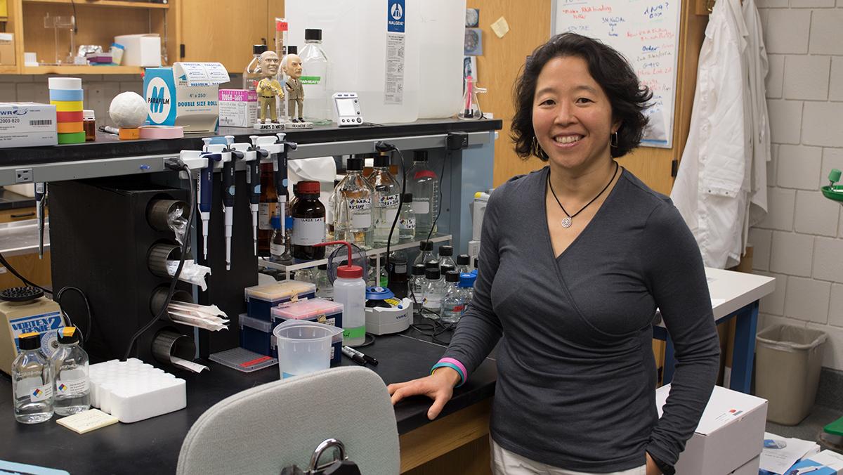 IC professor’s research opens up questions on gene expression
