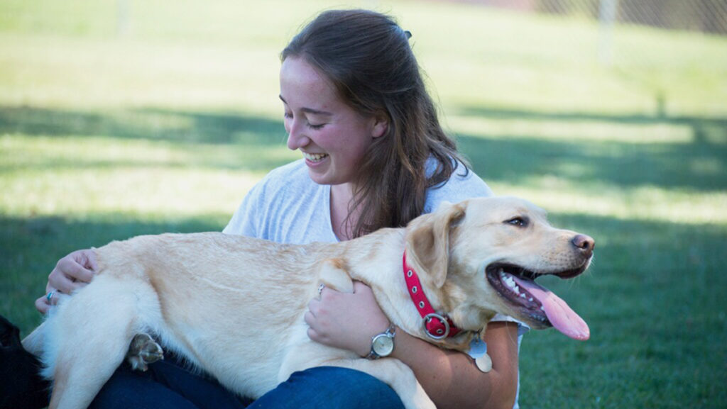 Melissa Potter has been training guide dogs through Guiding Eyes for The Blind since she was a freshman. Now, she is vice president of the club. 