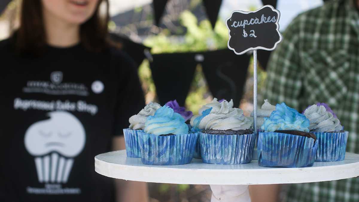 Depressed Cake Shop makes Ithaca debut to fight mental illness