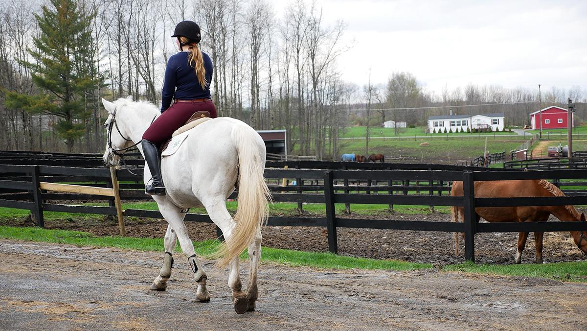Ithaca College Equestrian Club strives for recognition