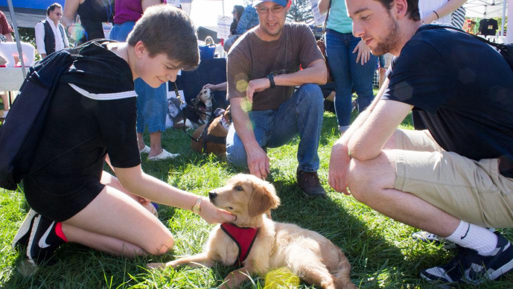 From+left%2C+freshman+Harley+McKenzie+greets+Jeremy+Sears%E2%80%99+retriever+puppy%2C+Jeter%2C+with+festival+attendee+Billy+Johnson.+Dog+owners+and+dog+lovers+alike+attended+the+festival+to+browse+vendor+tents%2C+meet+adoptable+dogs+and+pet+local+canine+friends.+%09