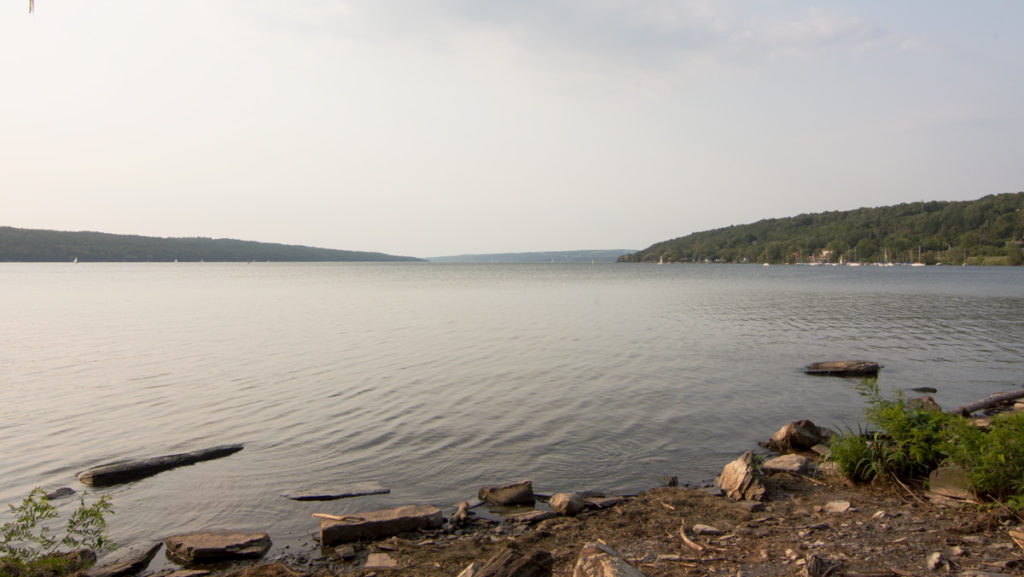 Lake Cayuga was one of Ithacas ecosystems affected by the heavier than normal rainfall this summer. Harmful algae has taken root in the lake due to the overabundance of rain.