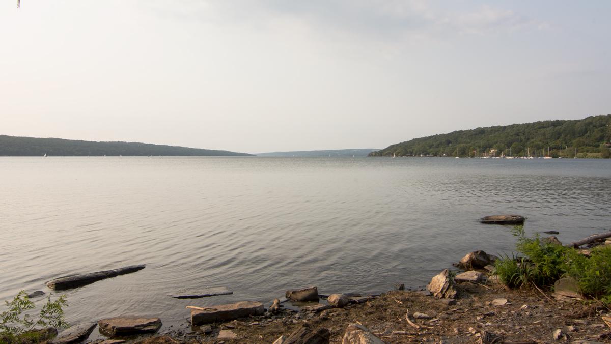 Heavy summer rain negatively affects Ithaca’s ecosystems