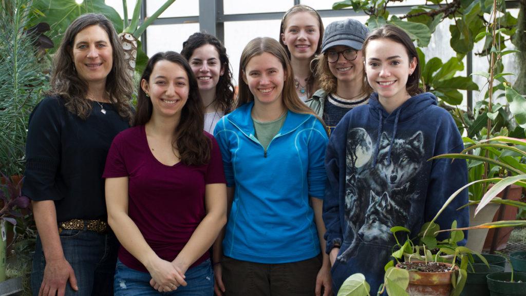 Paula Turkon, assistant professor in the Department of Environmental Studies and Sciences, and her students work on the hydroponic system located in the greenhouse located in the Center for Natural Sciences. 