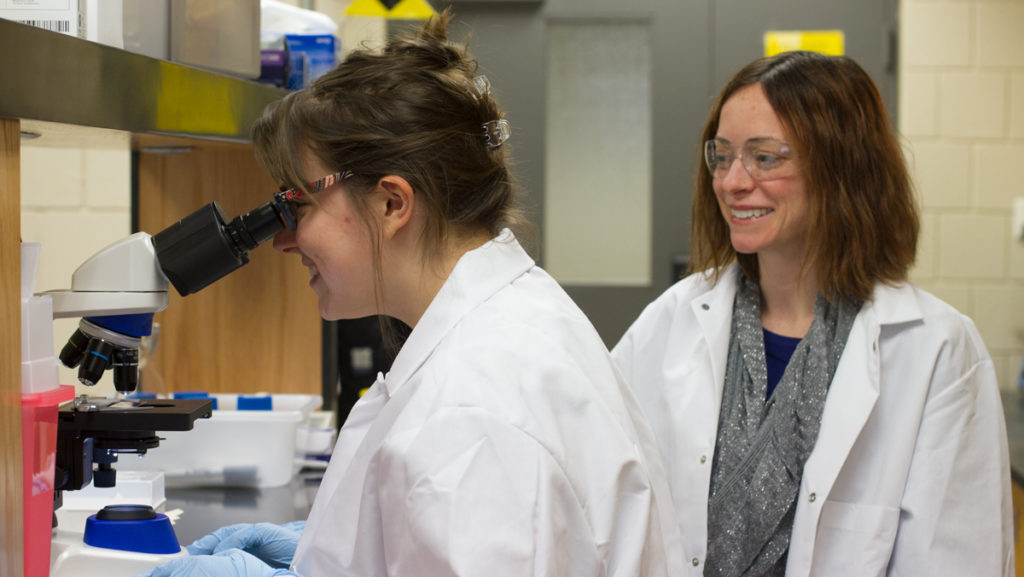 From left, junior Maura Benner and Kari Brossard Stoos, assistant professor in the Department of Health Promotion and Physical Education, work on research in the colleges new Biological Safety Level-2 laboratory.