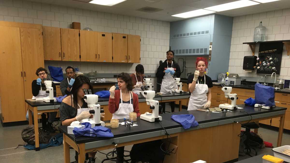 Art and biology students participate in creative collaboration