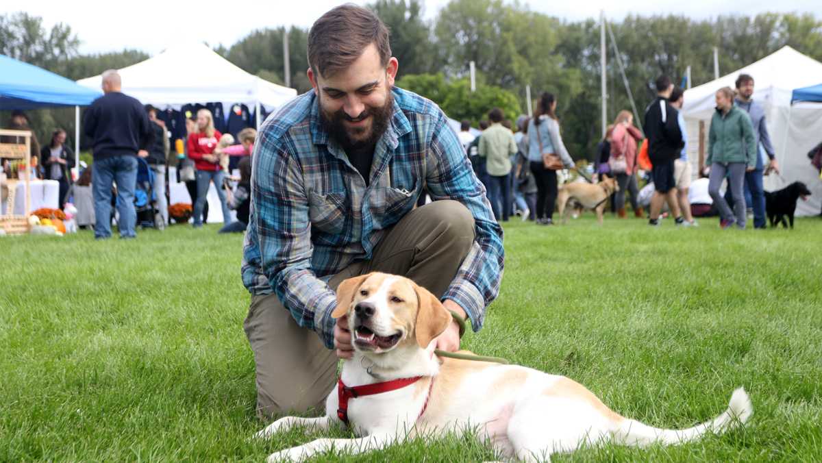 Fur-filled Dog Fest unleashes adoption awareness
