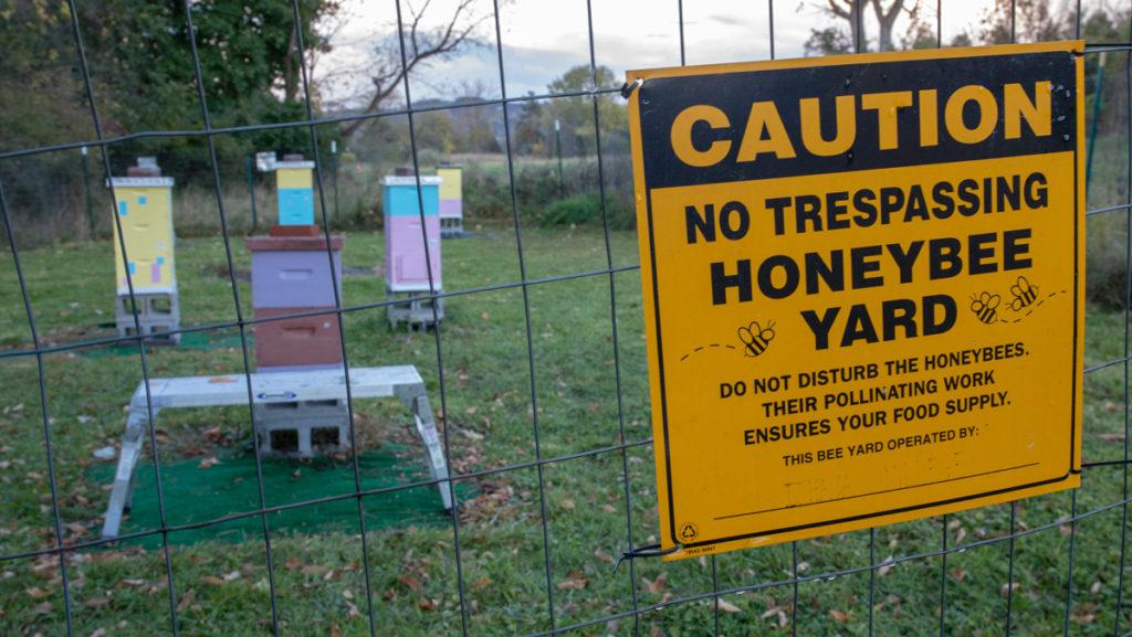The goal of the open house, and the creation of the Bee Club, is to generate student interest in the apiary. The college’s apiary, where bees are kept, is located near the Office of Public Safety and Emergency Management.