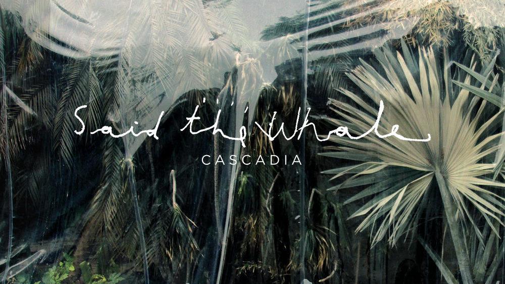 Review: Said The Whale record flounders