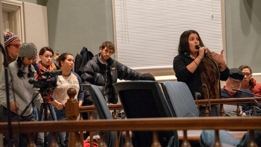Local resident Stephanie Heslop comments on the airport expansion during the Tompkins County Legislature meeting Feb. 19. She was one of several activists to express her disapproval with the expansion.