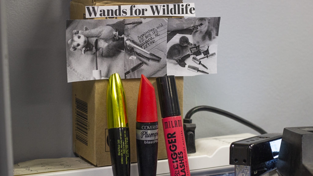 The Phillips Hall Post Office at Ithaca College is collecting used mascara wands to donate to the Appalachian Wildlife Refuge. The wands are effective tools to remove fly eggs and larvae from animal fur because the dense and gentle bristles reduce the risk of injuring the small animals.