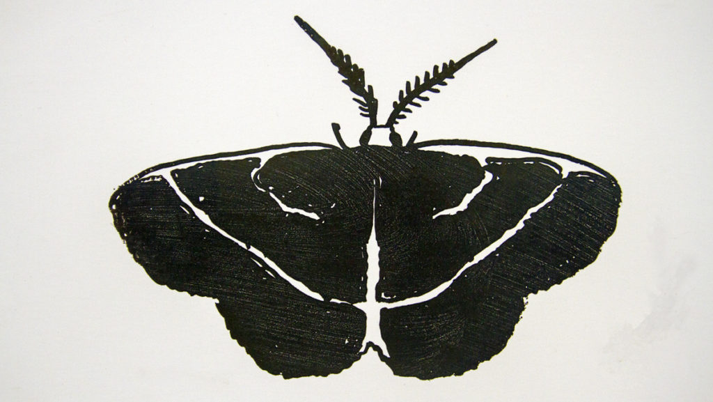 Pamela Drix, lecturer in the Department of Art is teaching a class in which students use printmaking  techniques to create moth prints. These prints will be part of an international art installation in Australia.
