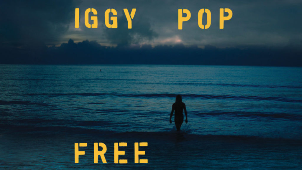 Iggy Pops newest album Free is a reflection of the artists eccentricities, at the expense of the quality of the product. The album is jazzy, moving away from Pops typical rock. Although some lyrics are strong, a lot of them feel bizarre and lazy.