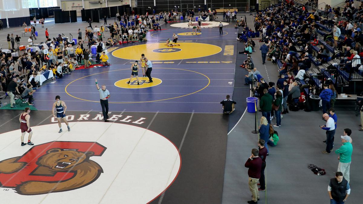 Wrestling has strong showing at Ithaca College Invitational