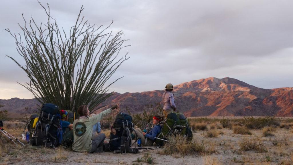From left, junior Leah Harbison-Ricciutti, senior Emily Rose, junior Clare Collins, and Adelia Alexander ’20, rest under an ocotillo plant en route to Pinto Mountain in Joshua Tree National Park, California during the immersion semester program.