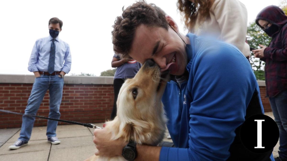 STEM Professors Dogs Provide Puppy Love for Students
