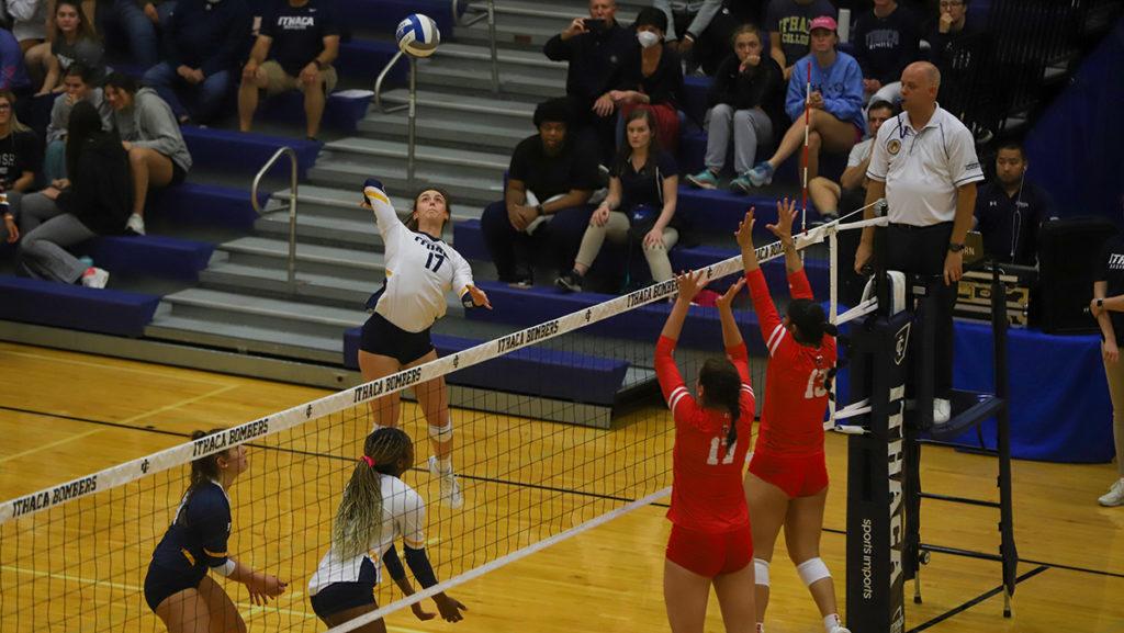 Junior outside hitter Alex Montgomery sets up for a spike during the Ithaca College volleyball teams 3–1 win over SUNY Cortland on Oct. 11.