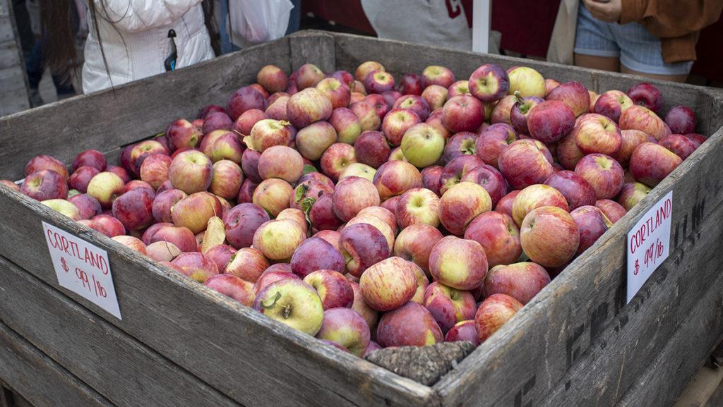 For the second year after the hiatus caused by the pandemic, the 40th annual Apple Harvest Festival was in full swing for all to enjoy. Vendors from across the Northeast came to celebrate the local Ithaca festival.