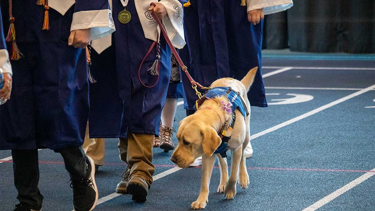 Blaze, an Ithaca College Guiding Eyes for the Blind dog-in-training, accompanied graduating senior Kelsey Roy during the ceremony. MALIK CLEMENT/THE ITHACAN