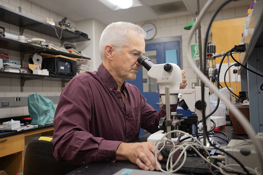 Andrew Smith works in his lab studying the natural adhesiveness of the Arion subfuscus slug. Smith has been attempting to create a medical-grade adhesive inspired by the slugs' properties. 