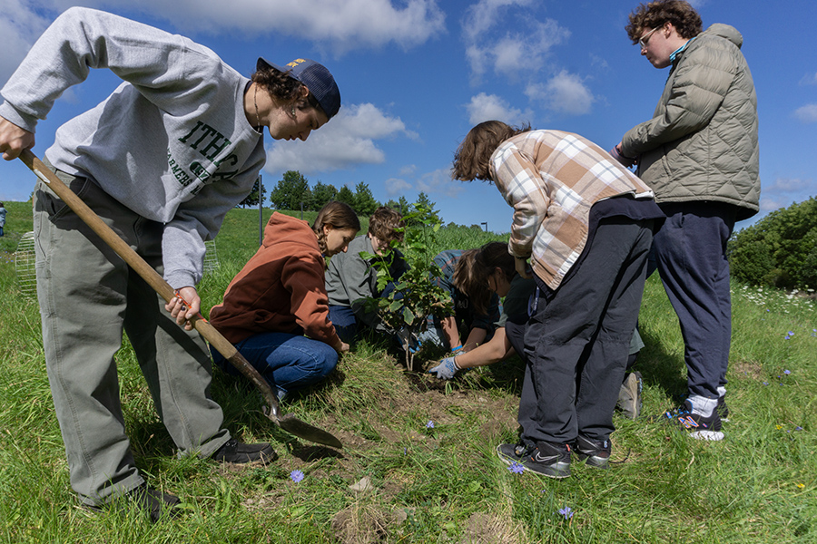 Trees Up Tompkins teamed up with Ithaca College to plant many types of trees behind Emerson Hall. The event featured an informational and cultural  Gayogo̱hó:nǫ nation ceremony.