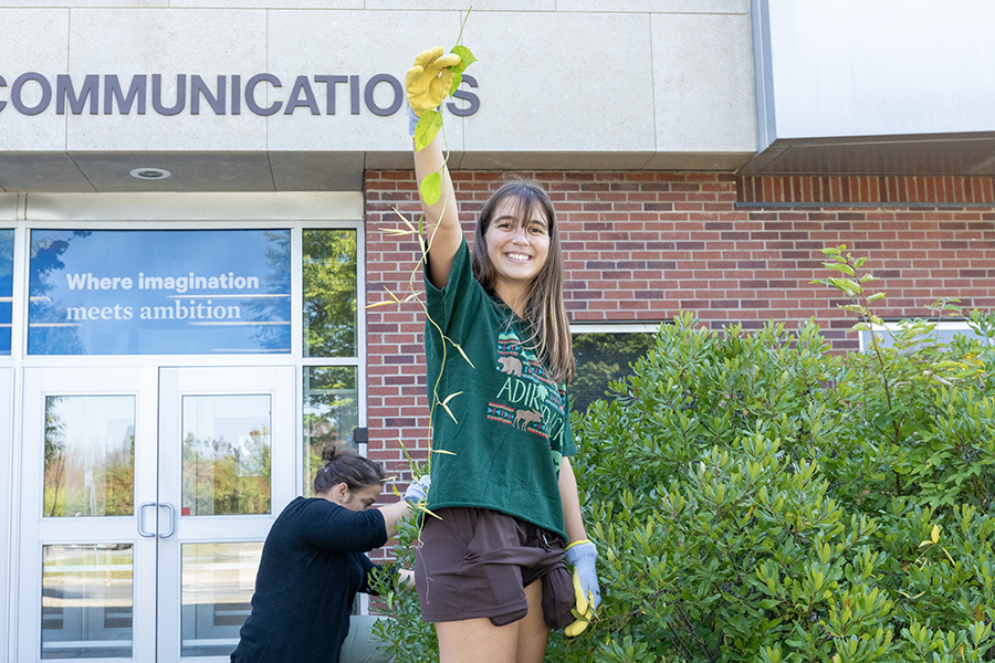 Skye Krehbiel, a 5th year Physical Therapy student, was one of six students who joined the removal of invasive swallow-wort seed pods event. The purpose of the event was to teach students how to properly remove the plant from the soil so they can do it anytime during the semester.