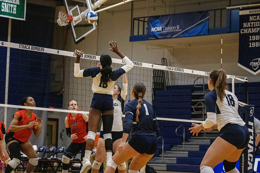 The Ithaca College volleyball team comes together to celebrate after scoring a point over the Tigers.