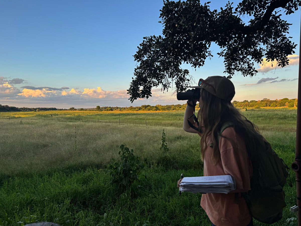 Sophomore Katrina Hardy, an environmental science major, is studying wildlife conservation in the Okavango Delta in Botswana with the Round River Conservation Studies program. 