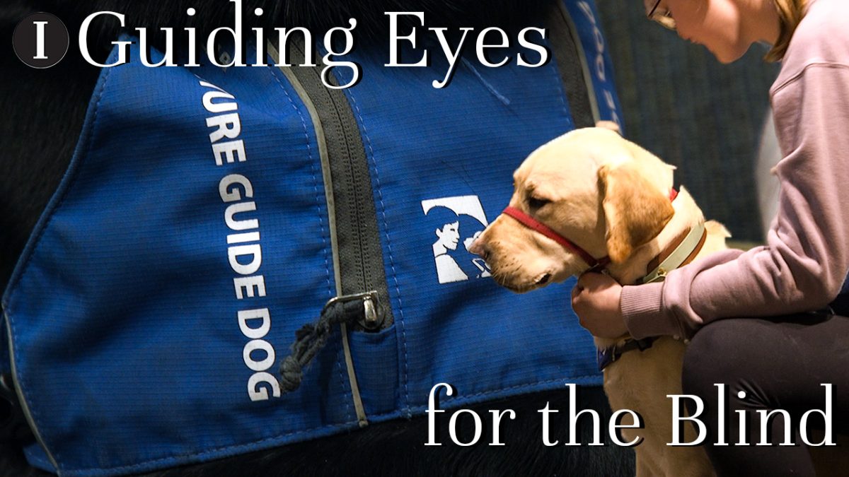 Students make a difference with Guiding Eyes for the Blind